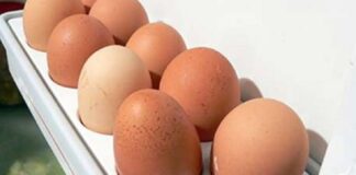 Kodėl negalima laikyti kiaušinių šaldytuvo durelėse?