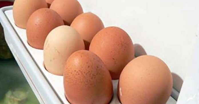 Kodėl negalima laikyti kiaušinių šaldytuvo durelėse?