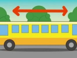 Į kurią pusę važiuoja autobusas? Daugelis vaikų žino atsakymą į šį klausimą iš karto!