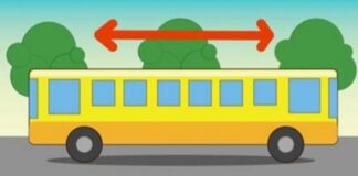 Į kurią pusę važiuoja autobusas? Daugelis vaikų žino atsakymą į šį klausimą iš karto!