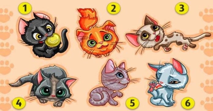 Testas: pasirinkite kačiuką, kuris panašiausias į jus!