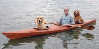 Vyras padarė specialią baidarę, kad galėtų plaukioti su savo šunimis