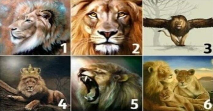 Testas: koks partneris jums tiktų labiausiai? Tereikia pasirinkti liūtą