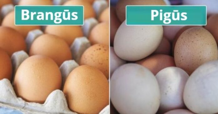 Ar skiriasi brangūs ir pigūs kiaušiniai. Kurie yra geresni?
