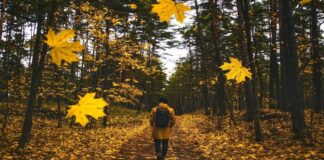 Ritualai krentant lapams: kaip pritraukti sėkmę rudenį?