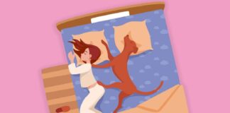 Šuo lovoje: 7 priežastys, kodėl jo nereikėtų išvaryti