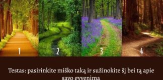 Testas: pasirinkite miško taką ir sužinokite šį bei tą apie savo gyvenimą