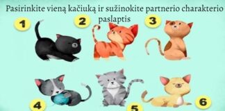 Testas: pasirinkite vieną iš kačiukų ir sužinokite savo partnerio charakterio paslaptis