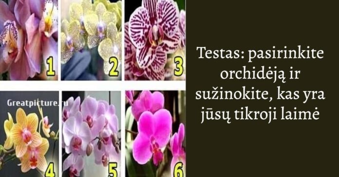 Testas: pasirinkite orchidėją ir sužinokite, kas yra jūsų tikroji laimė