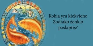 Kokia yra kiekvieno Zodiako ženklo paslaptis?