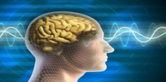 4 blogi įpročiai, kurie gali pabloginti atmintį ir sumažinti jūsų intelektą