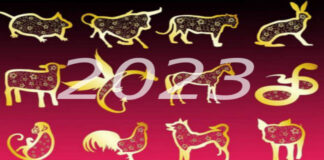 Kinų horoskopas 2023 metams. Kas jūsų laukia?