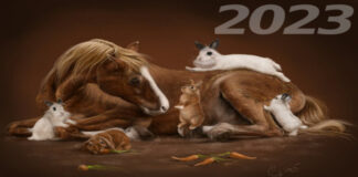 Gyvūnų horoskopas: kuriuos gyvūnus globos 2023 metai?