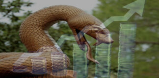 Kaip Gyvatės metais gimę žmonės gali tapti turtingesni ir sėkmingesni?