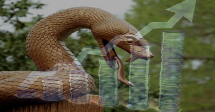 Kaip Gyvatės metais gimę žmonės gali tapti turtingesni ir sėkmingesni?