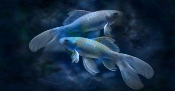 Kurio gyvūno metais gimsta patys laimingiausi Žuvų ženklo atstovai?