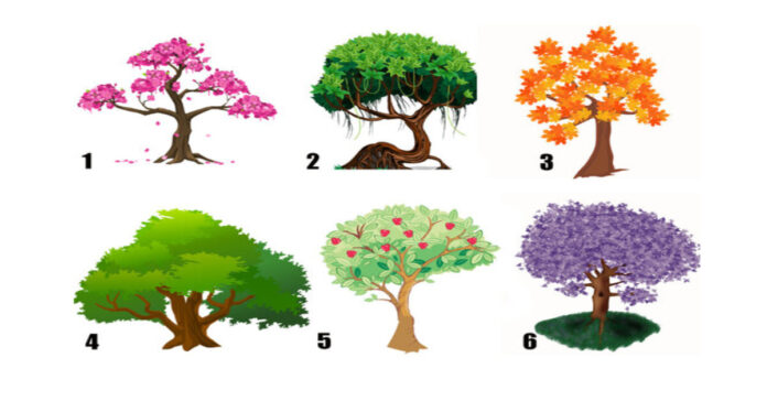 Testas: pasirinkite medį ir sužinokite savo ryškiausią charakterio savybę