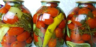 Marinuoti pomidorai su česnaku, kurių nereikia konservuoti