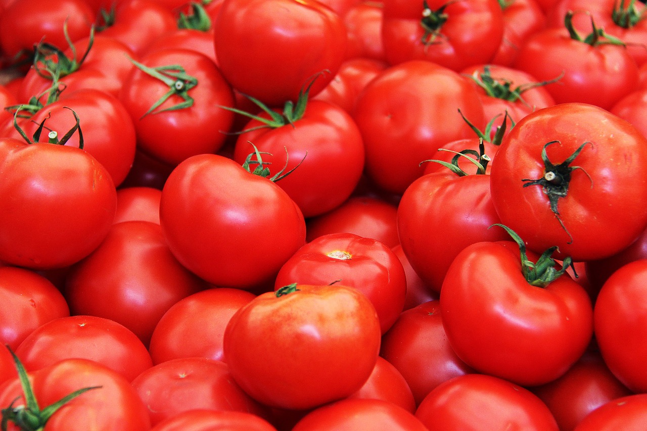 Česnakų ir pomidorų